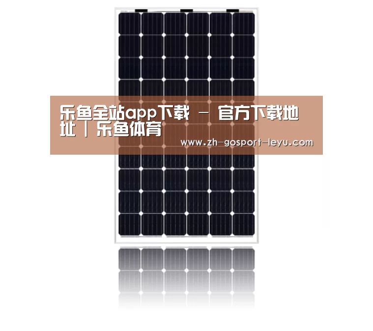 产品名称五