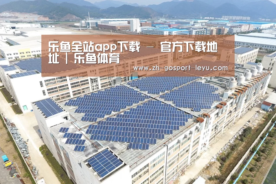 案例展示四