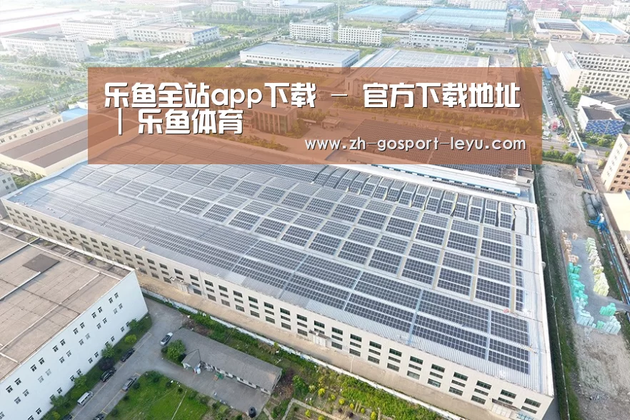 案例展示二