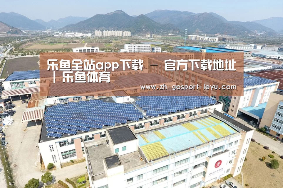案例展示三