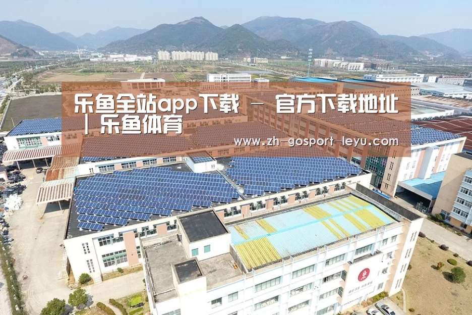 案例展示三