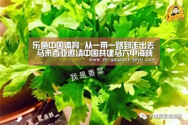 乐鱼中国体育-从一带一路到走出去 马来西亚邀请中国共建马六甲海峡(图2) 乐鱼中国体育