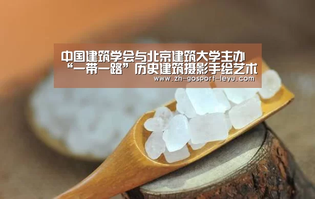 中国建筑学会与北京建筑大学主办 “一带一路”历史建筑摄影手绘艺术展开幕|乐鱼体育(图1) 乐鱼体育