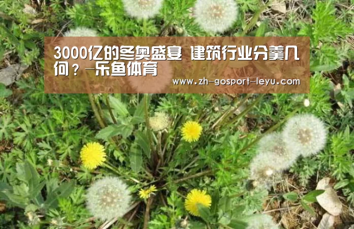 3000亿的冬奥盛宴 建筑行业分羹几何?-乐鱼体育(图1) 乐鱼中国体育
