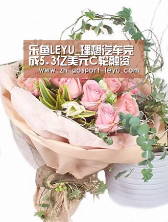 乐鱼LEYU_理想汽车完成5.3亿美元C轮融资 美团王兴领投(图2) 乐鱼LEYU