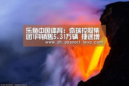 乐鱼中国体育:奇瑞控股集团1月销售5.31万辆 捷途增长18%(图3) 乐鱼网站