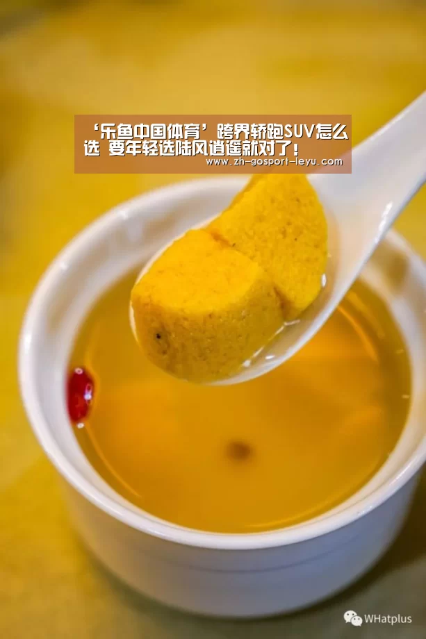 ‘乐鱼中国体育’跨界轿跑SUV怎么选 要年轻选陆风逍遥就对了!(图1) 乐鱼体育