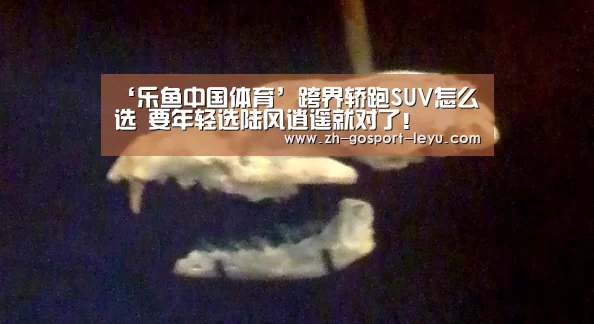 ‘乐鱼中国体育’跨界轿跑SUV怎么选 要年轻选陆风逍遥就对了!(图3) 乐鱼中国体育